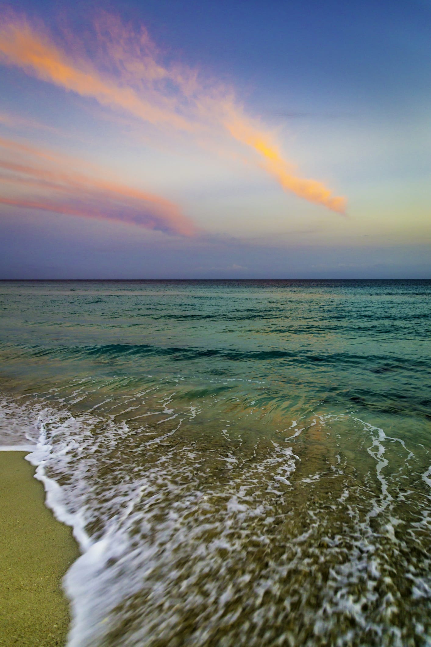 Caribbean choked by seaweed that kills wildlife and harms tourism