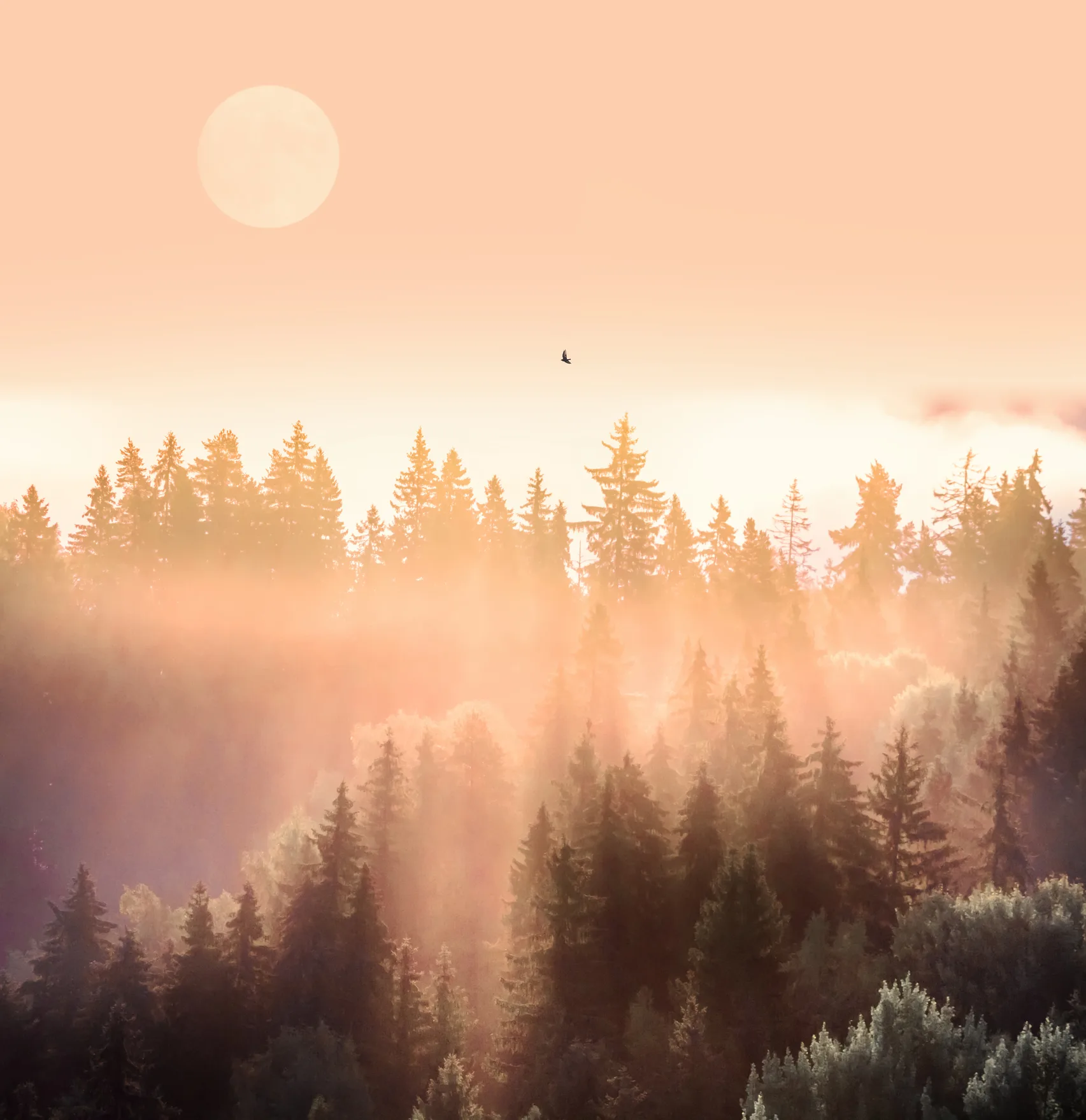 Nhiều nước hứng chịu nắng nóng dữ dội