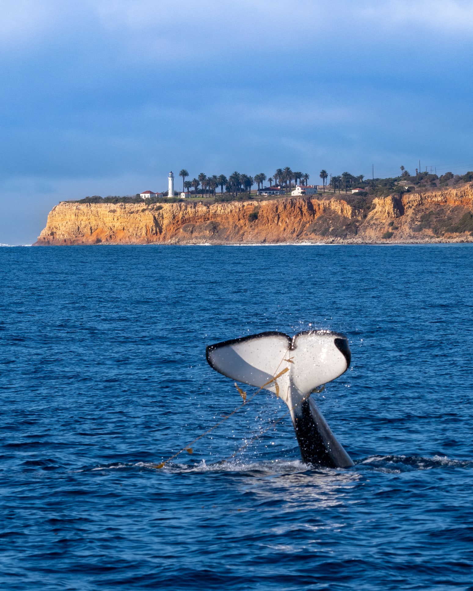 The pretty seaside town that’s only dark for 5 hours per day in peak summer