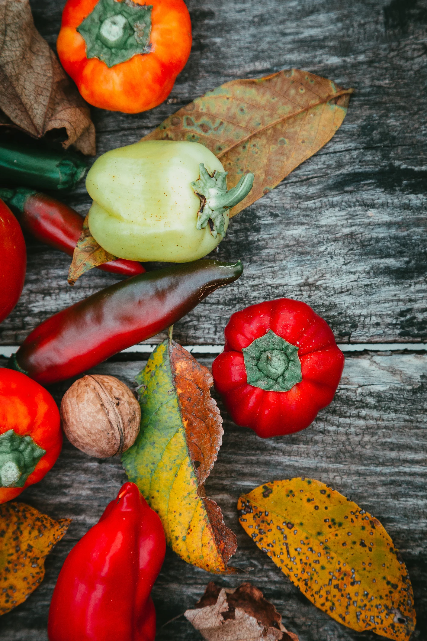 สตาร์ตอัปสหรัฐฯ ใช้หุ่นยนต์ และ AI ช่วยทำฟาร์มเกษตร