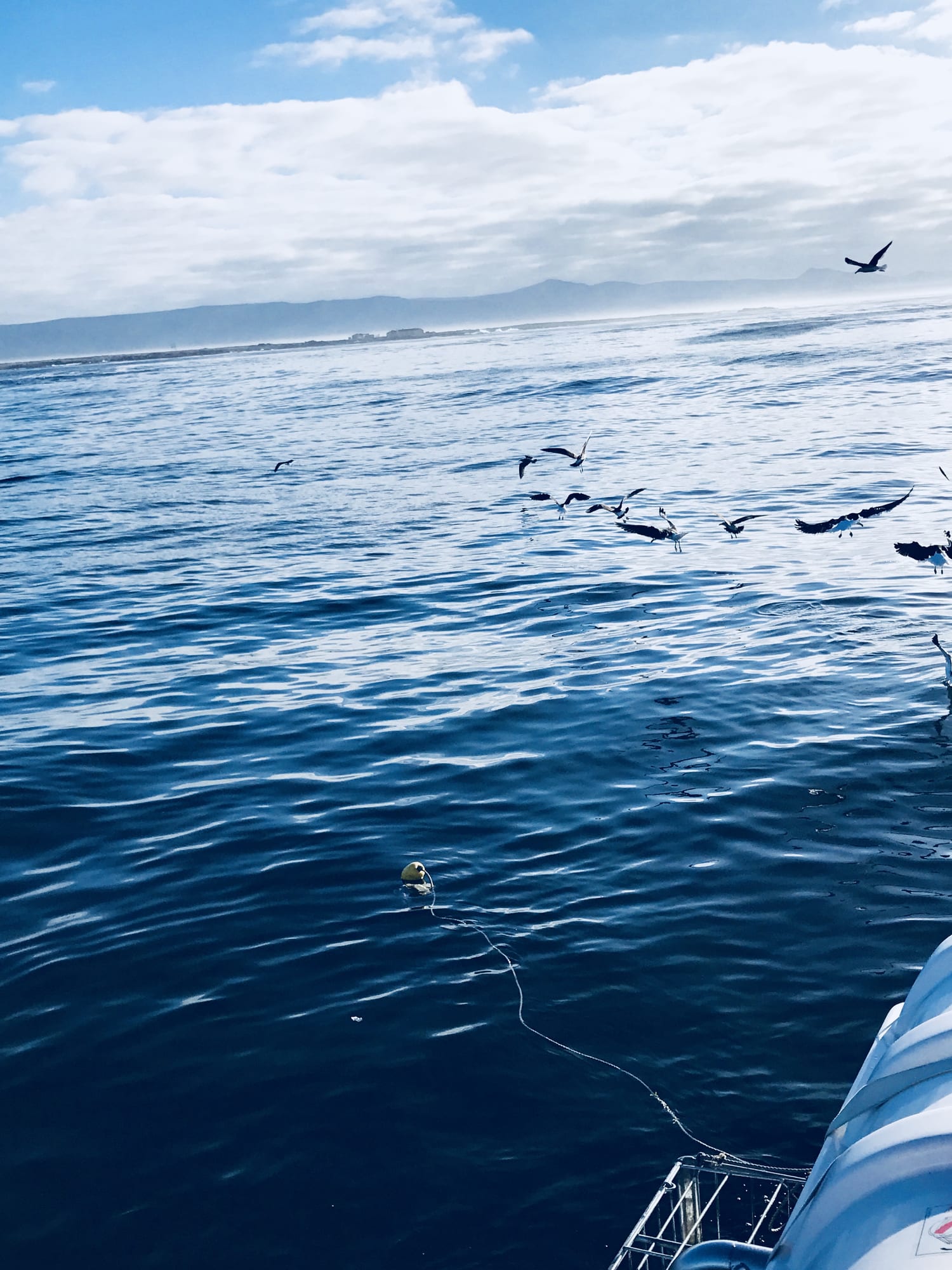 Tight lines! Four lekker saltwater fishing spots in Cape Town