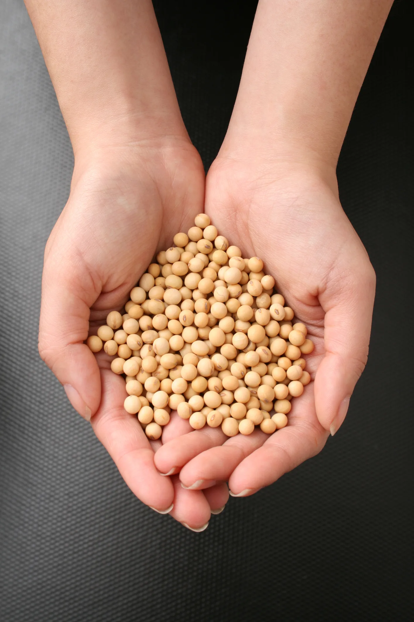 Soja: cómo consumirla saludablemente