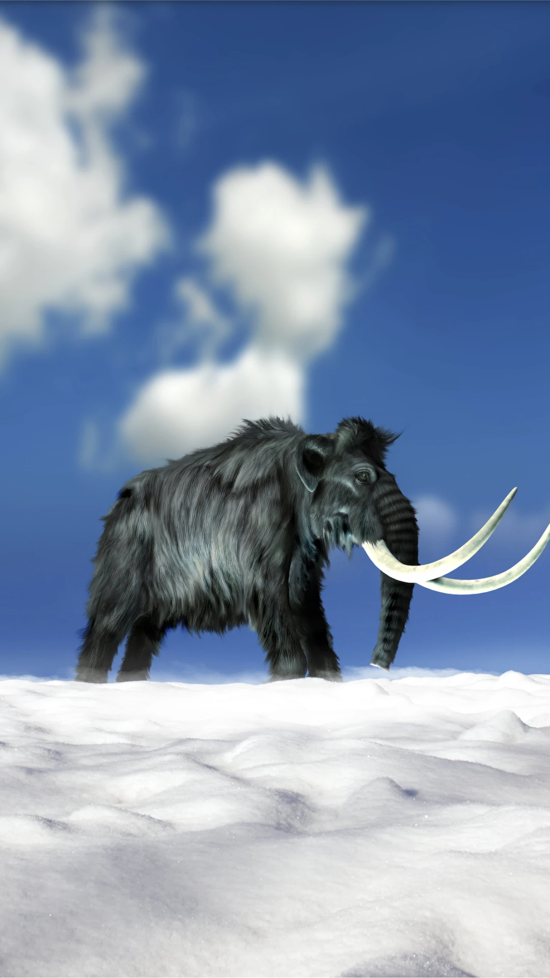 Climate change, not humans, caused the extinction of woolly mammoths