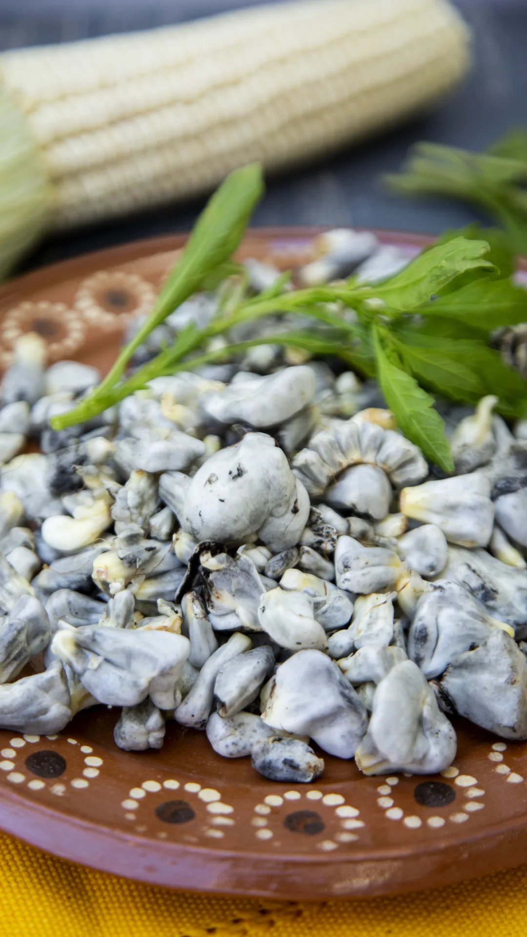 Prepárate un rico desayuno: receta mexicana de quesadillas de huitlacoche