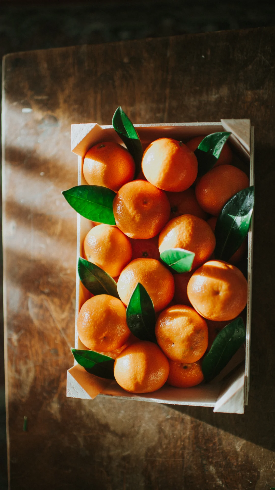 Cultiva mandarinas en tu jardín y hasta en maceta