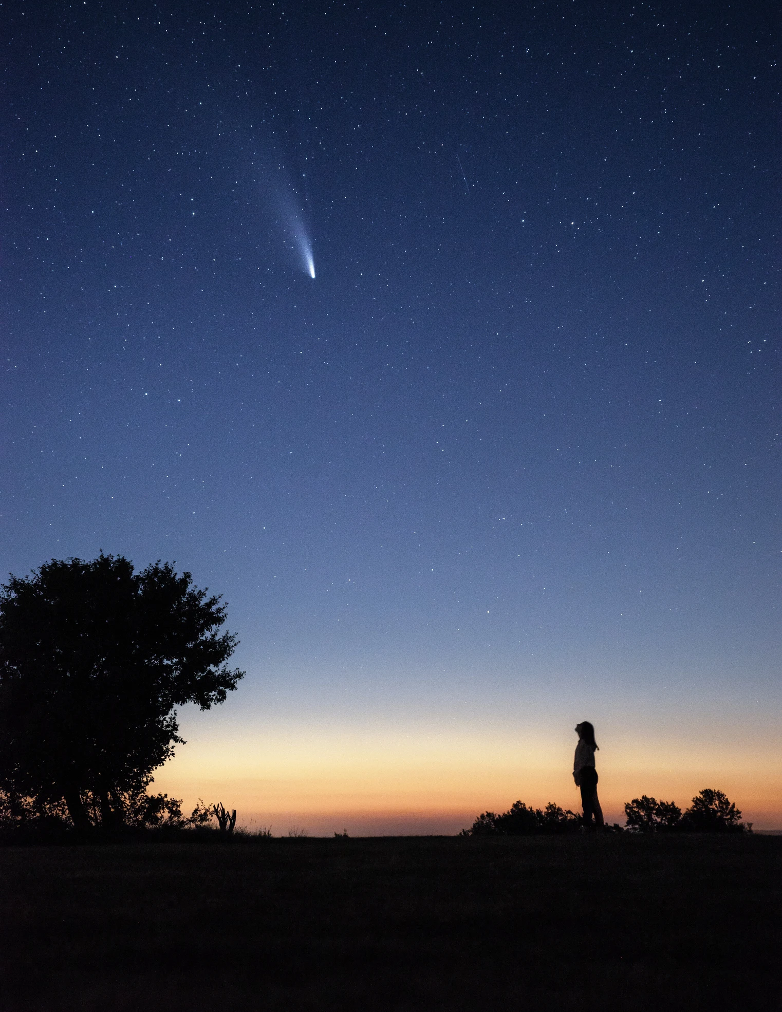 Sternschnuppen: Wenn am Himmel die Sterne tanzen