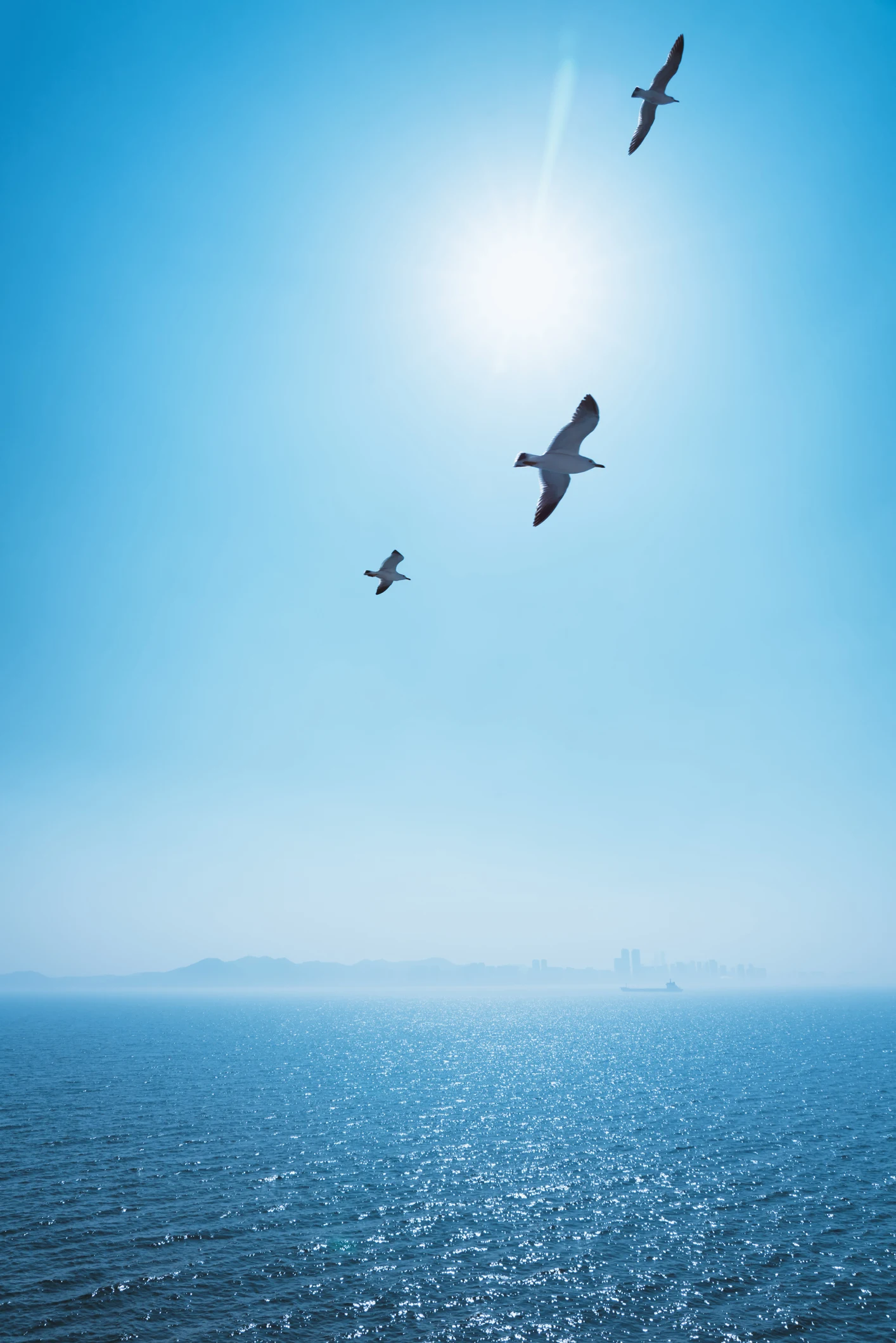 「空飛ぶクルマ」見参　時速100キロ想定、1千日後の万博目玉に