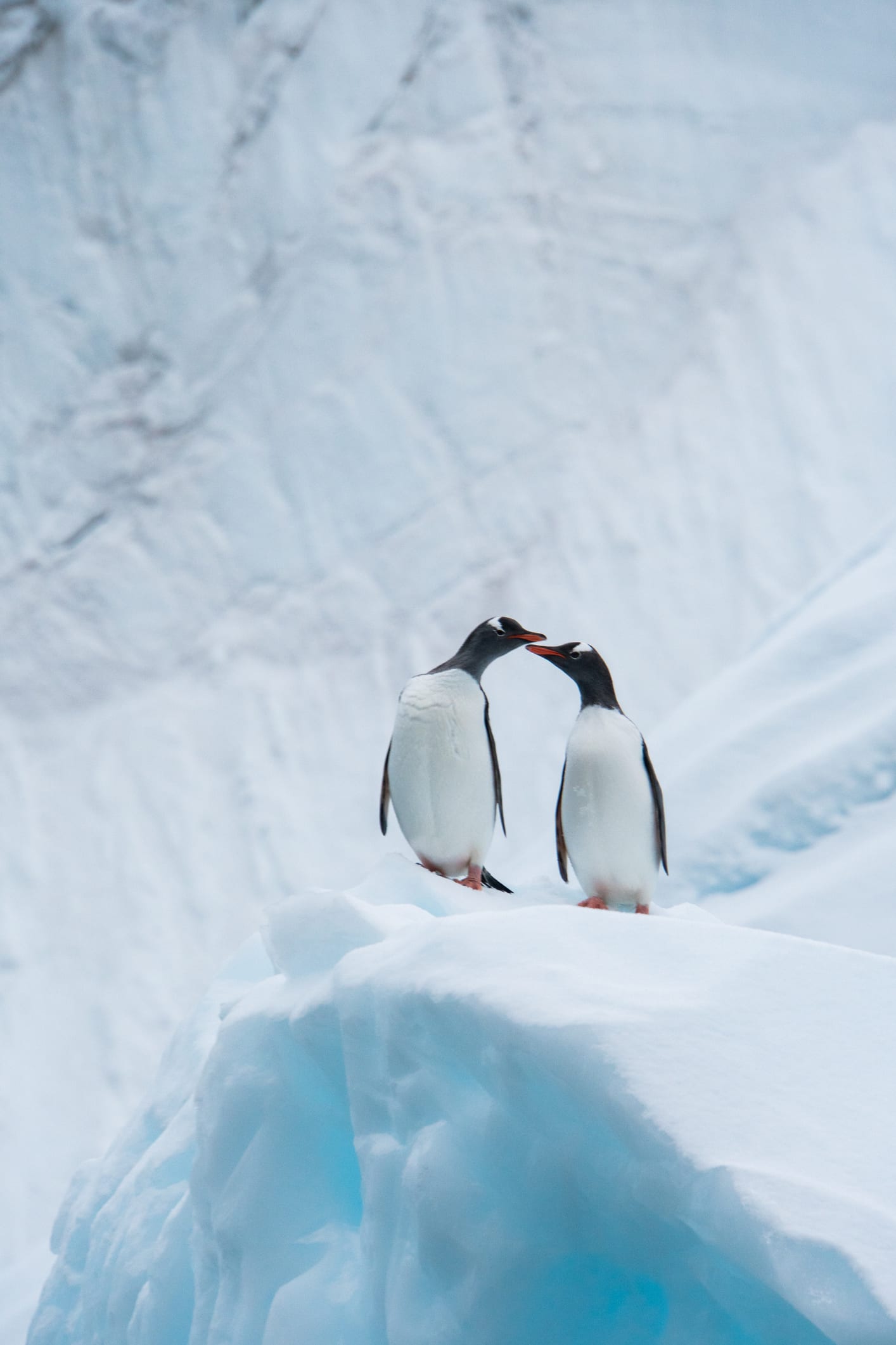 Cette découverte inédite aux Pôles Nord et Sud inquiètent les chercheurs