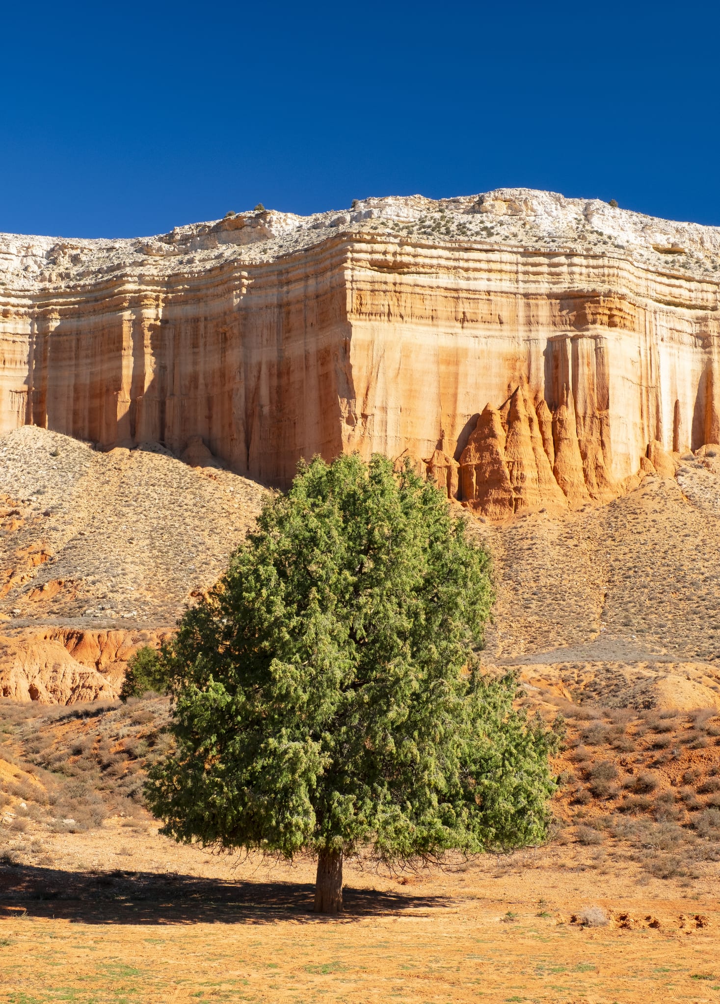 El Cañón del Colorado español: descubre un paisaje único en la Rambla de Barrachina