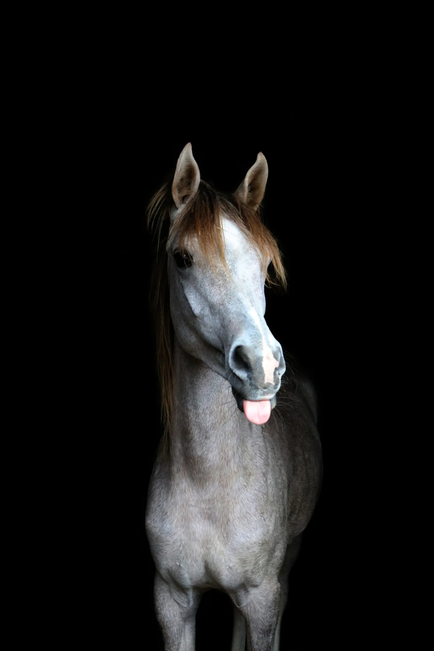 If you want a quirky staycation, you can stay in a stable... with a horse