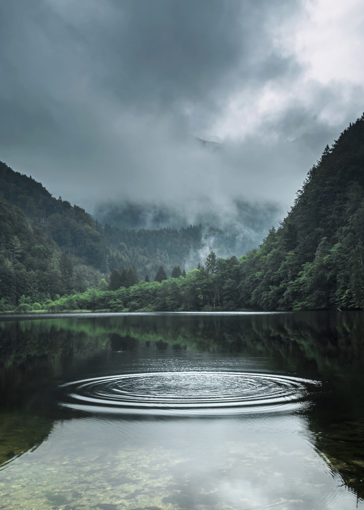 ปักหมุดจุดเช็คอินใหม่'Nature Walkwayเขื่อนสิรินธร - 9,000โบก โขงเจียม'