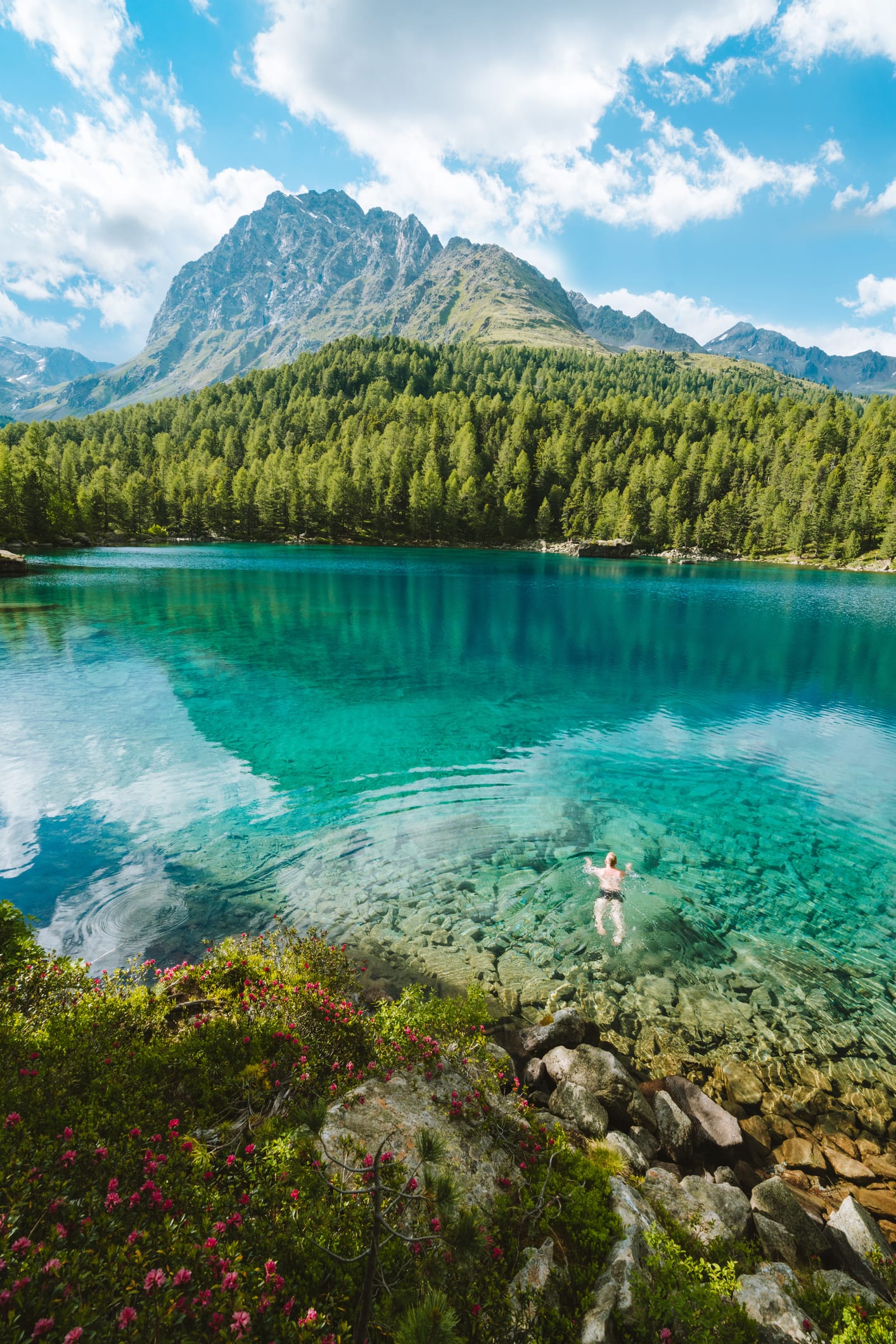 What to know about swimmer's itch, a rash caused by a tiny parasite found in water contaminated by animal poop