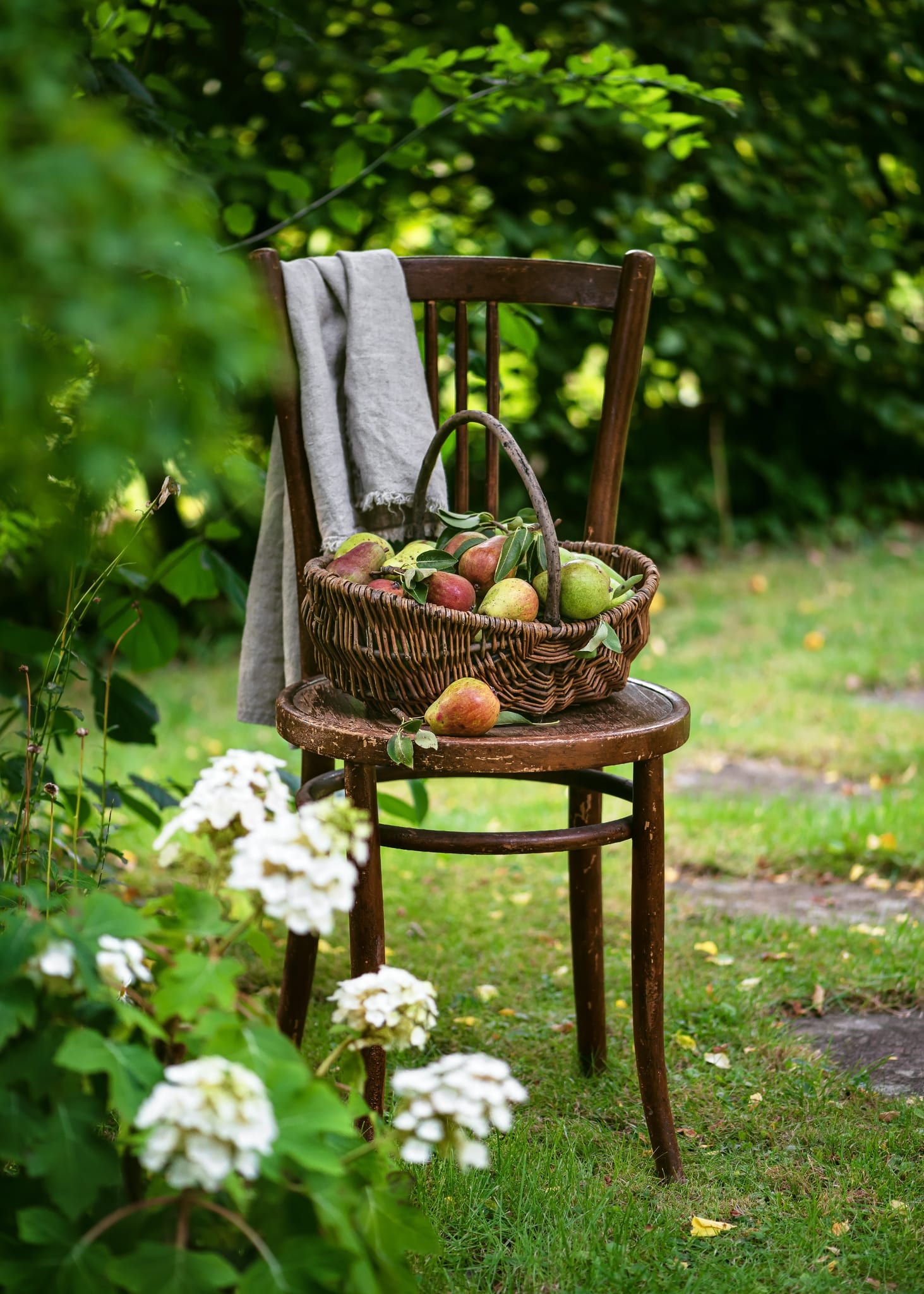 Shoppers urged to ditch the trolley for a basket to save money at supermarket