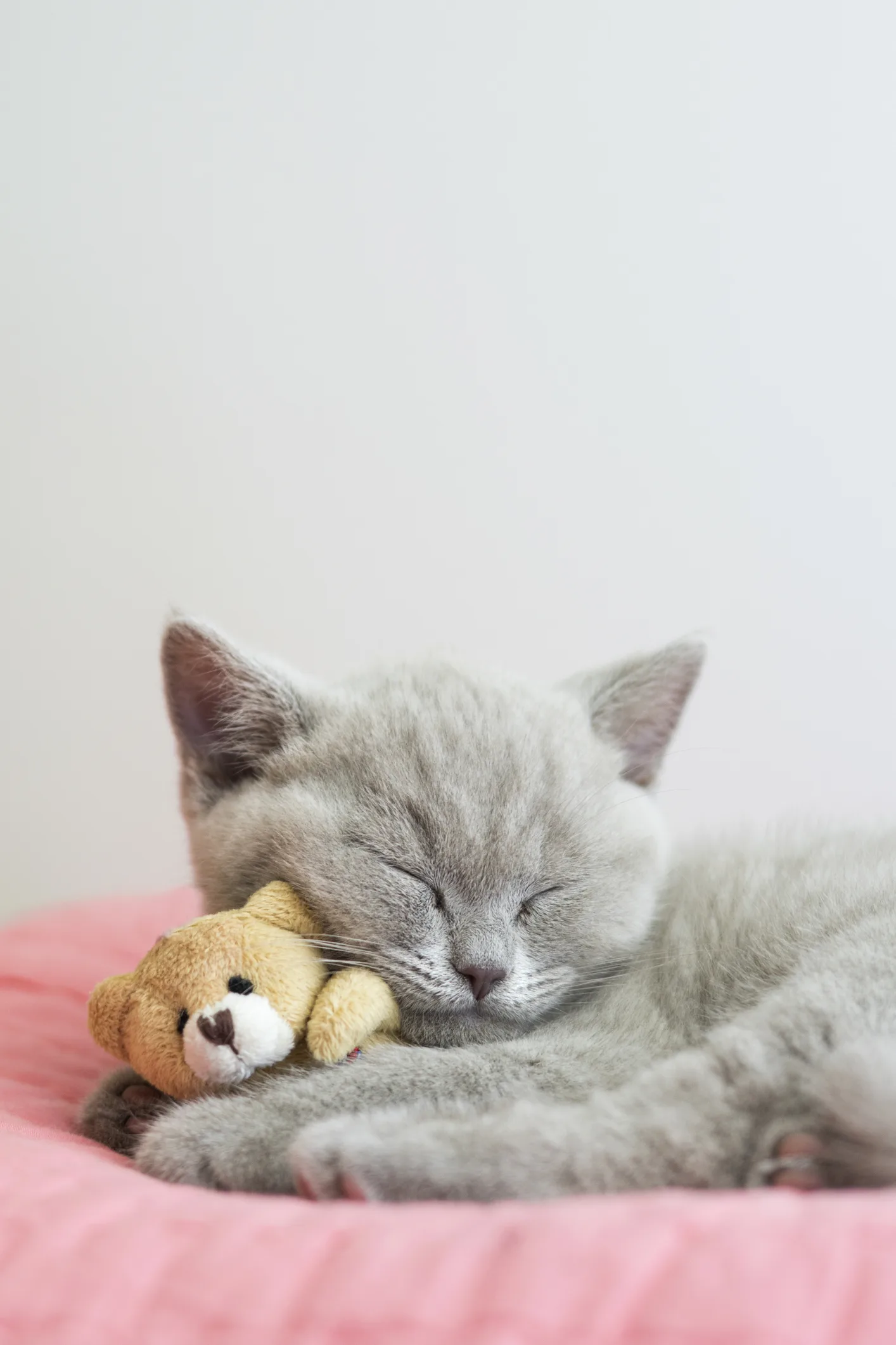 Tips on getting to sleep in less than 5 minutes as expert shares best practice