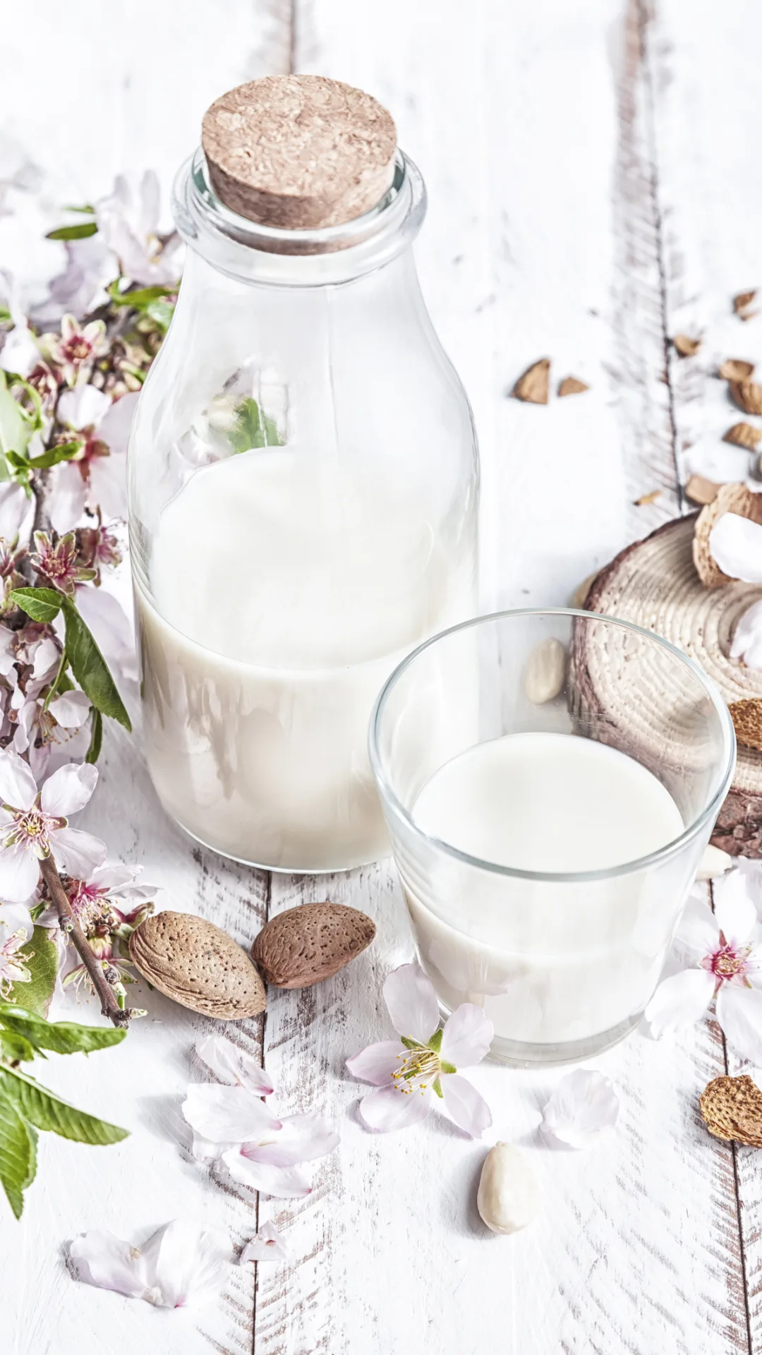 La producción de leche de almendras mata a millones de abejas; ésta es la razón