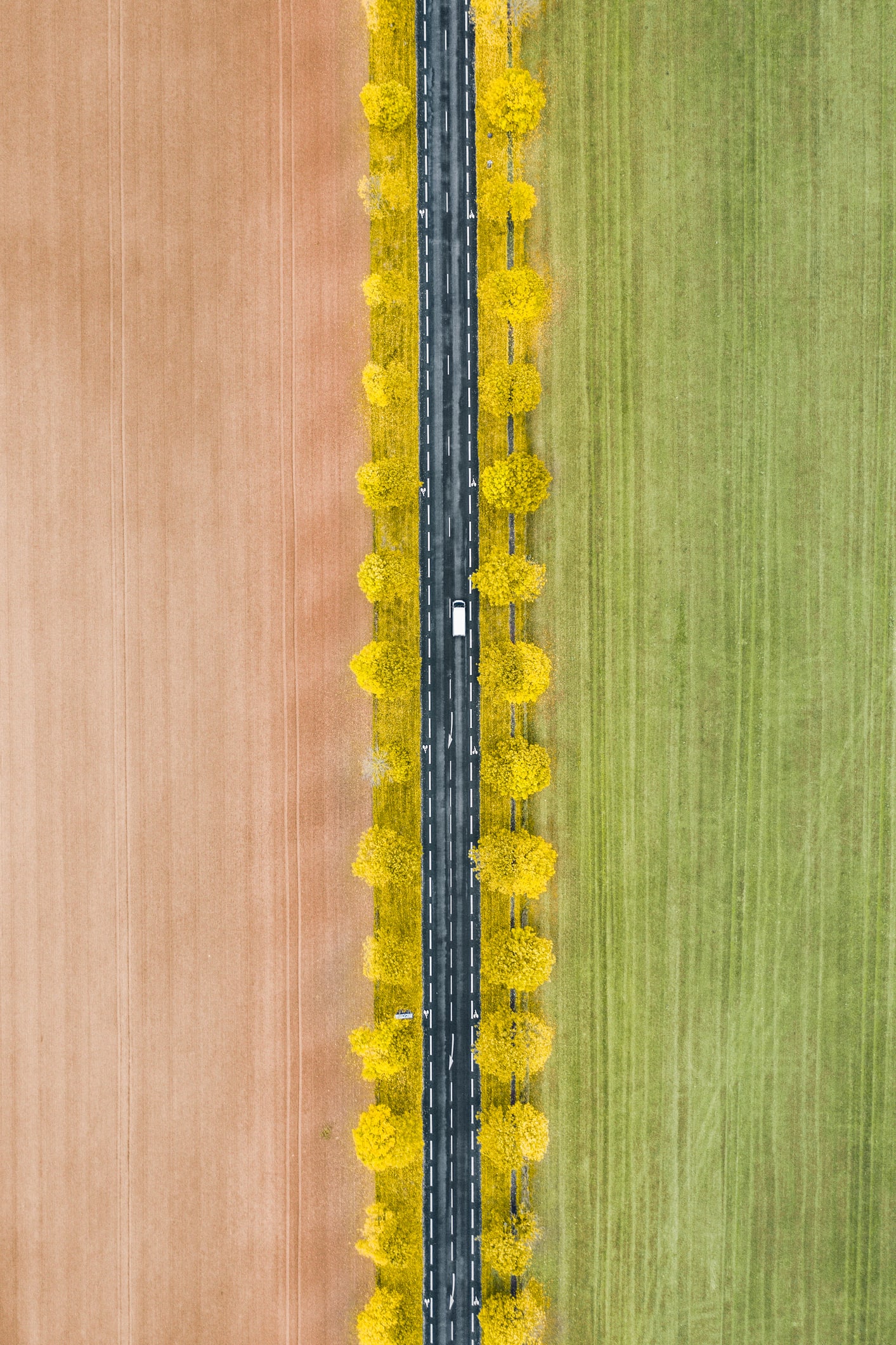 Tăng tốc sản xuất, giữ giá thực phẩm