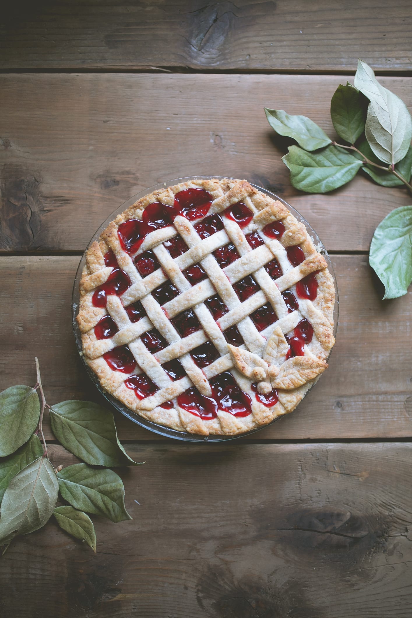 Crostata ricotta e visciole: la ricetta del dolce della tradizione laziale
