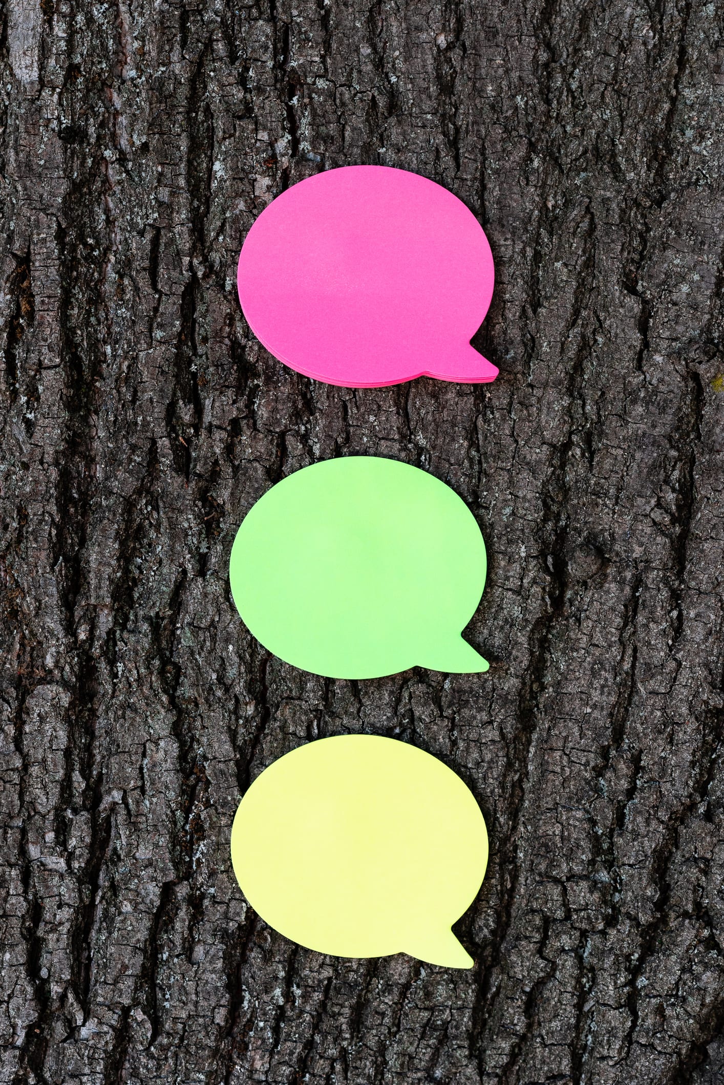 Escritor define vários perfis de comunicação. Veja em qual se enquadra