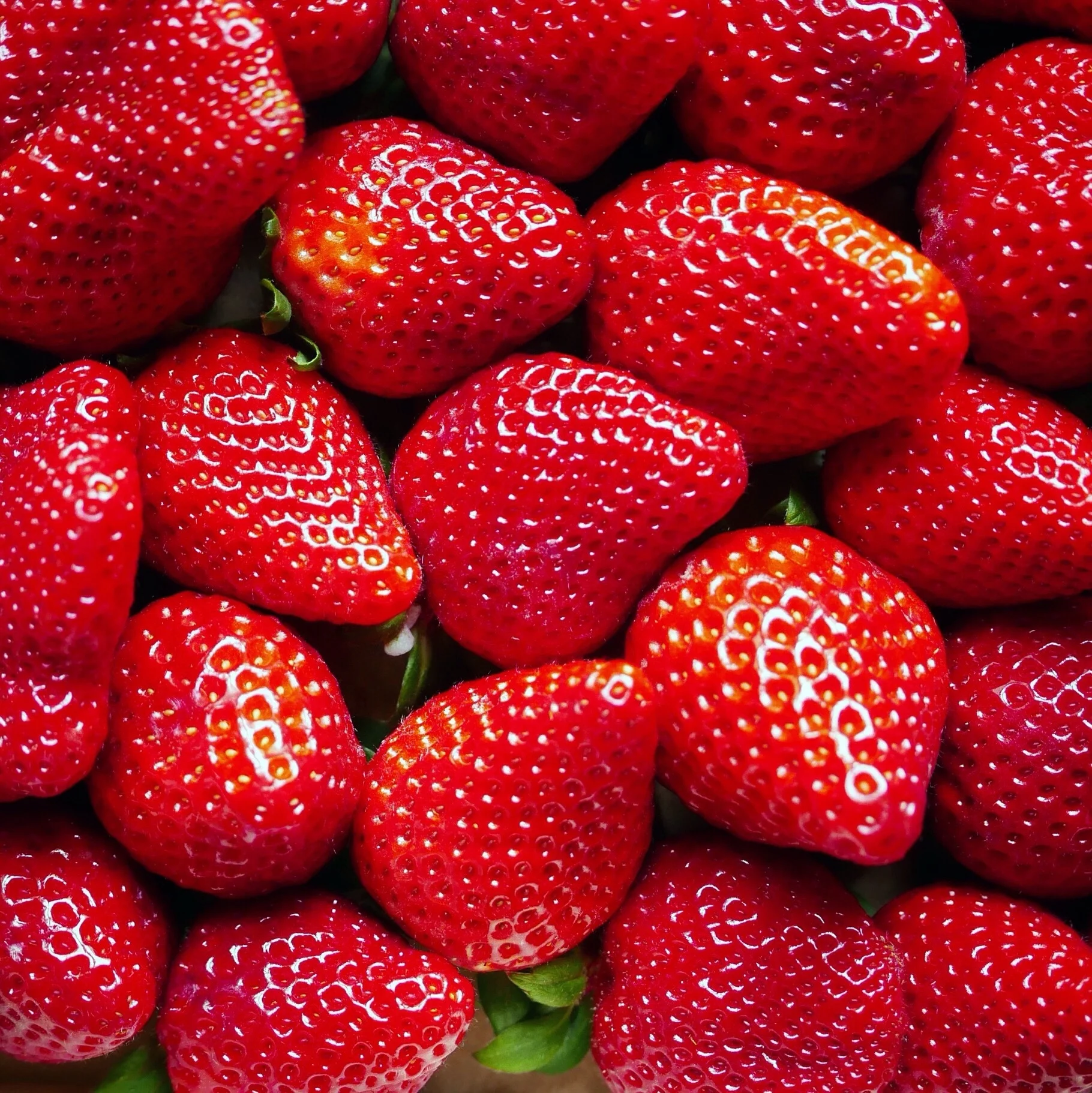 20 recetas fresquitas para el verano fáciles y deliciosas (con vídeos)